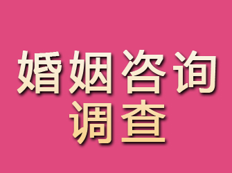 甘谷婚姻咨询调查