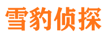 甘谷寻人公司